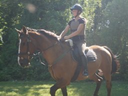 dsc05945_web